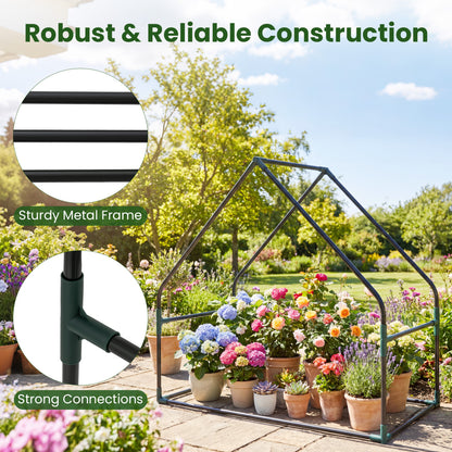 Mini Green House Metal Frame with Waterproof Bottom Mat and Wind Ropes