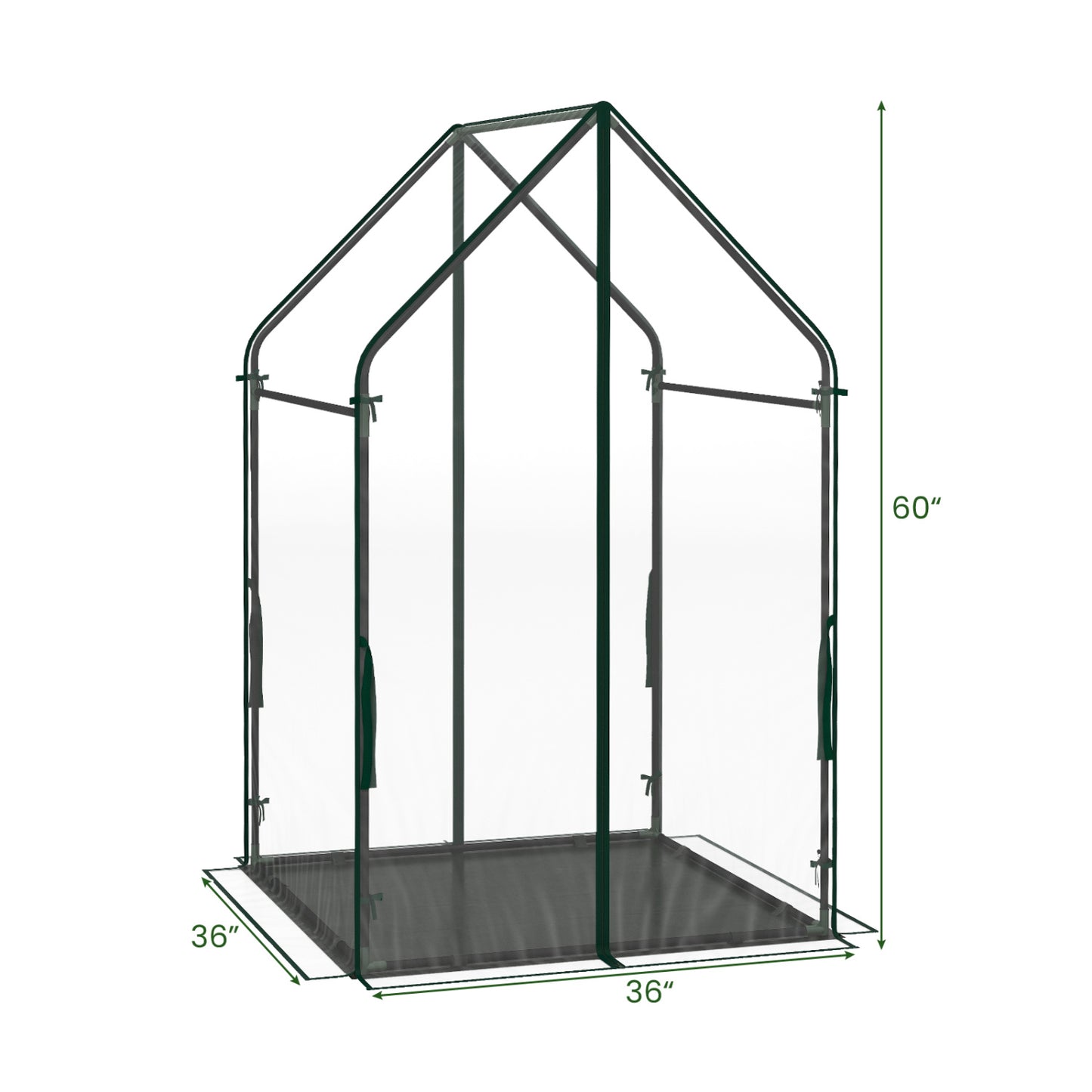 Mini Green House Metal Frame with Waterproof Bottom Mat and Wind Ropes