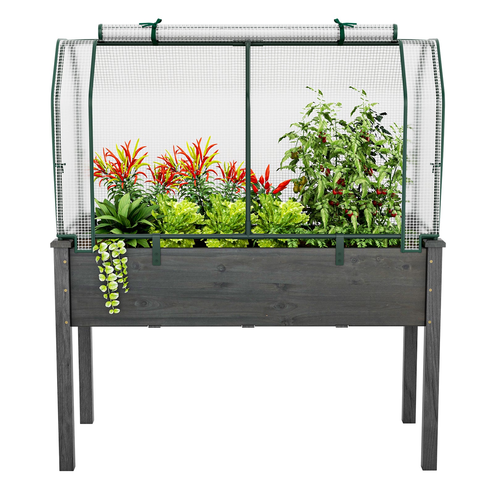 47.5 x 21.5 x 24 Inch Mini Greenhouse with Roll-up Zipper Door