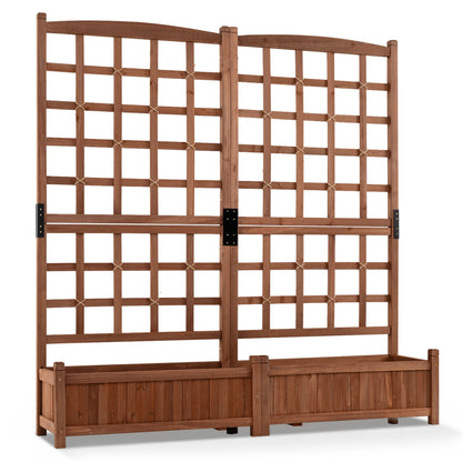 Dual Raised Garden Bed with Trellis and Drainage Holes