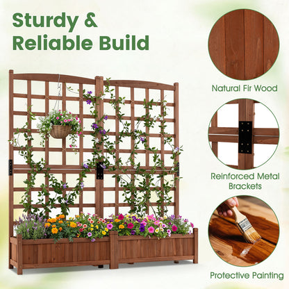 Dual Raised Garden Bed with Trellis and Drainage Holes