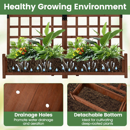 Dual Raised Garden Bed with Trellis and Drainage Holes