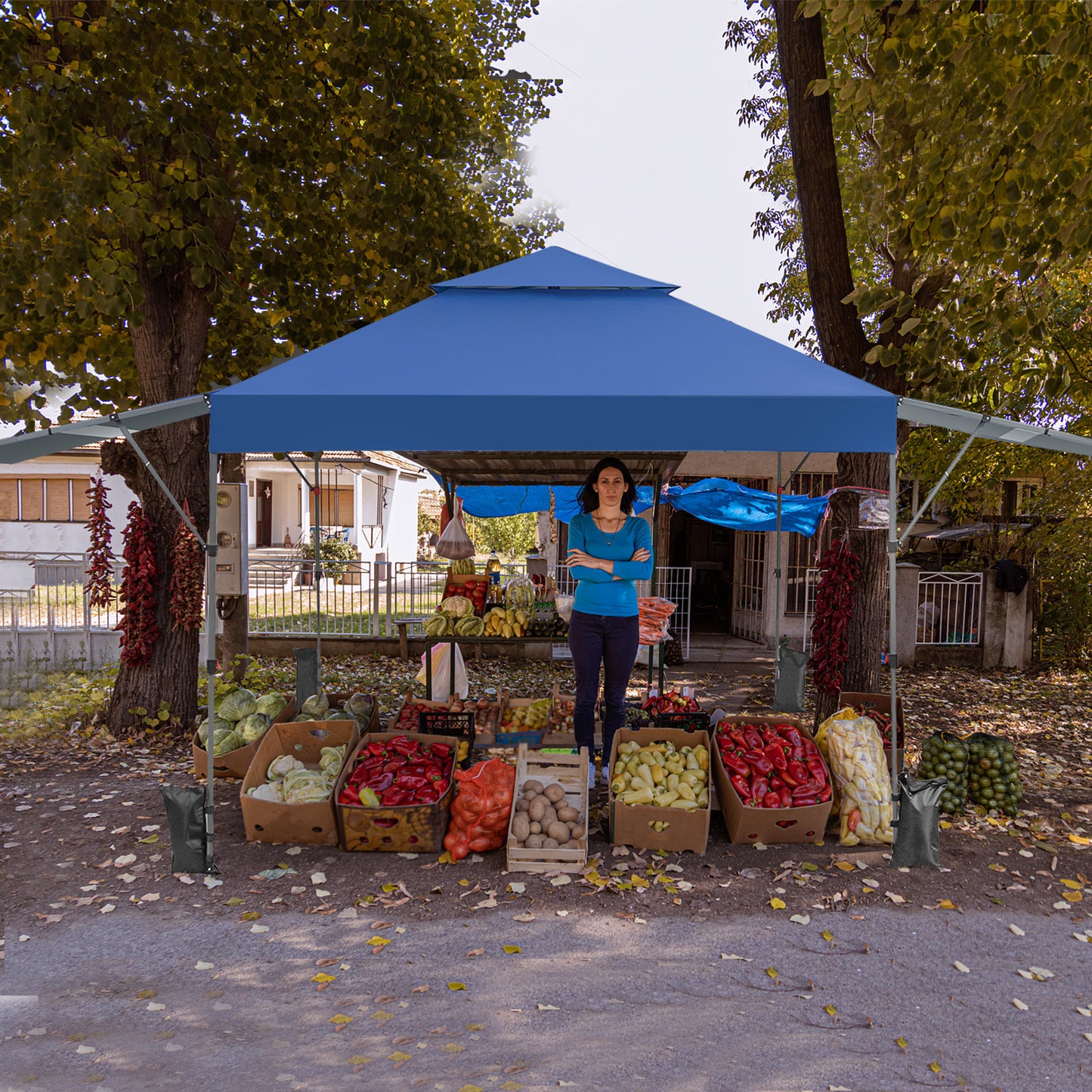 10 x 17.6 Feet Outdoor Instant Pop-up Canopy Tent with Dual Half Awnings