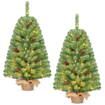 Pre-Lit Mini Christmas Tree with 50 Warm White LED Lights and Timer Set of 2-3 ft