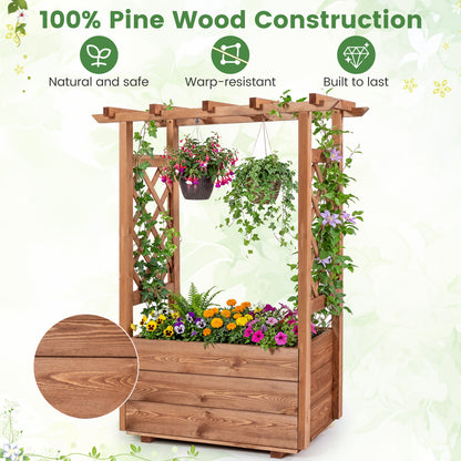 Raised Garden Bed with Lattice Trellises with Hanging Roof Set of 2