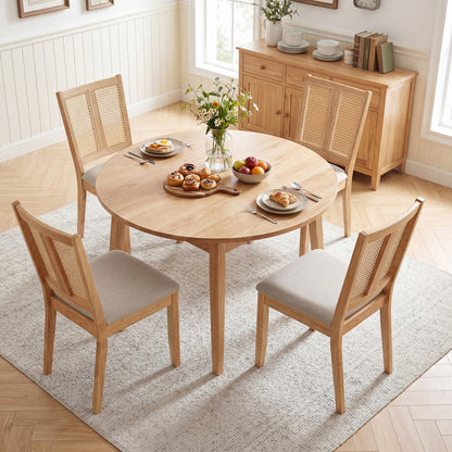 Rattan Dining Chairs Set of 4 with Padded Seats