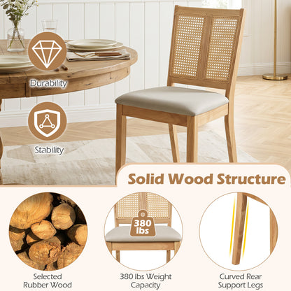 Rattan Dining Chairs Set of 4 with Padded Seats