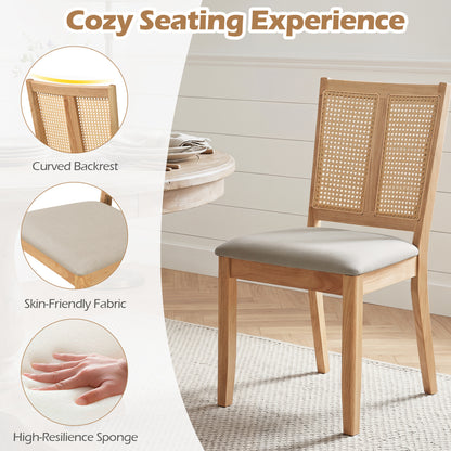 Rattan Dining Chairs Set of 4 with Padded Seats