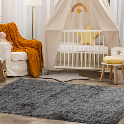 5 x 7 Feet Modern Rectangular Soft Shag Area Rug for Living Room Bedroom