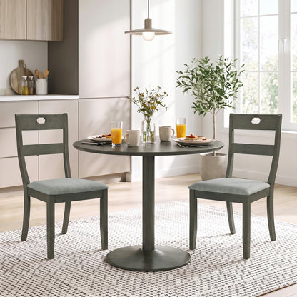 Wooden Dining Chairs Set of 2 with Padded Seats