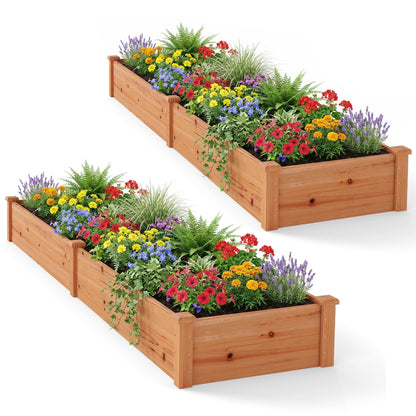 Wooden Raised Garden Bed Set of 2 for Vegetables & Herbs