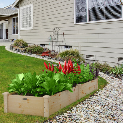 Wooden Raised Garden Bed Set of 2 for Vegetables & Herbs