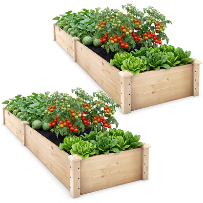 Wooden Raised Garden Bed Set of 2 for Vegetables & Herbs