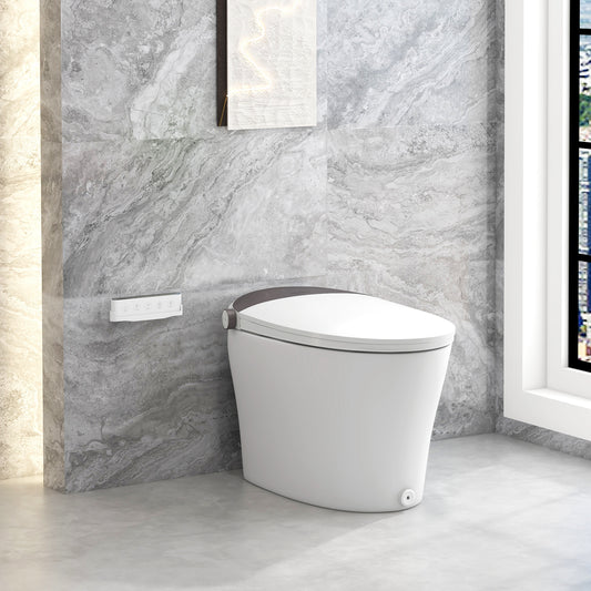 One-Piece Smart 1.16 GPF Elongated Bidet Toilet Seat with Night Light-White