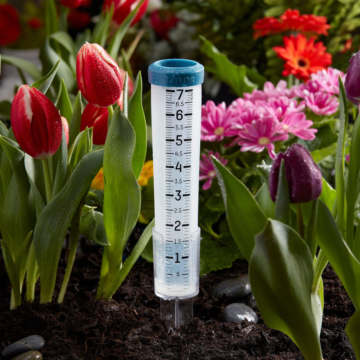Taylor 7-In. Capacity Freeze-Proof Silicone Rain Gauge with Stake - view 4