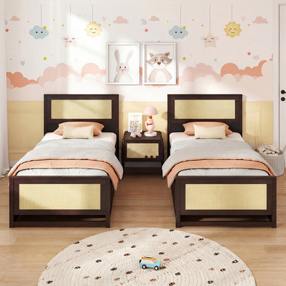 Twin Size Rattan Bed Frame with Storage Drawers-Coffee