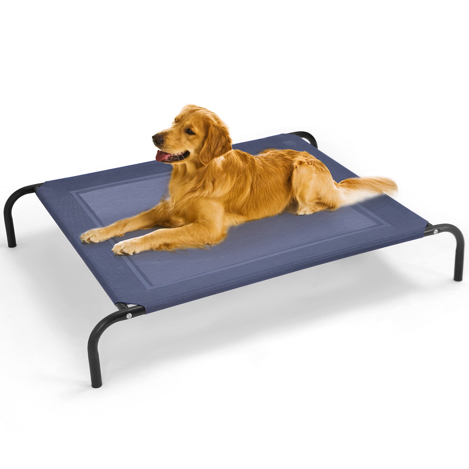 Large Indoor Outdoor Camping Steel Frame Elevated Pet Cot Mat-XL - Xl