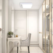 Motion Sensor Ceiling Light with Remote