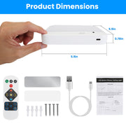 Motion Sensor Ceiling Light with Remote