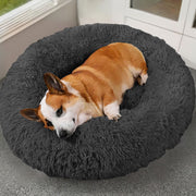 Pet Bed