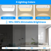 Motion Sensor Ceiling Light with Remote