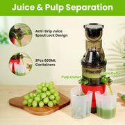 Cold Press Juicer Machine