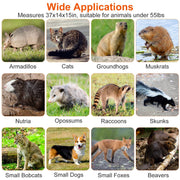 Large Animal Trap Galvanized