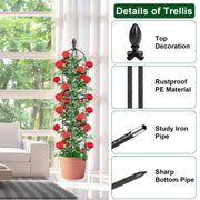 2 Packs Garden Obelisk Trellis