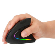 2.4G Wireless Vertical Mouse