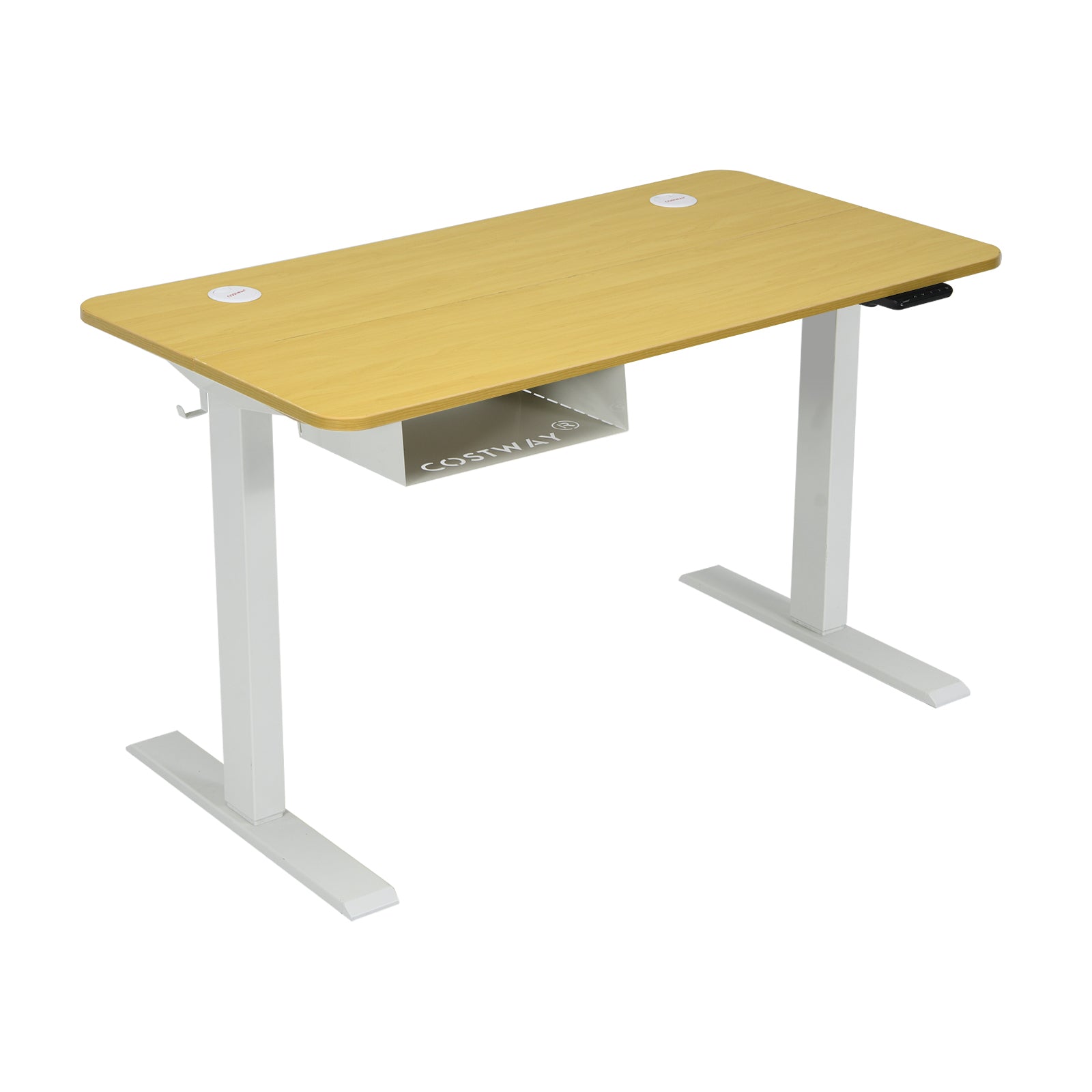 48 Inches Electric Standing Adjustable Desk with Control Panel and USB Port-Beige - Natural