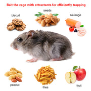 Rat Trap Cage Humane