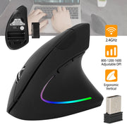 2.4G Wireless Vertical Mouse