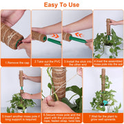 4Pcs Coco Coir Extendable Moss Pole for Climbing Plants Plant Support