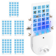 Indoor Flying Insect Trap