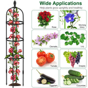 2 Packs Garden Obelisk Trellis