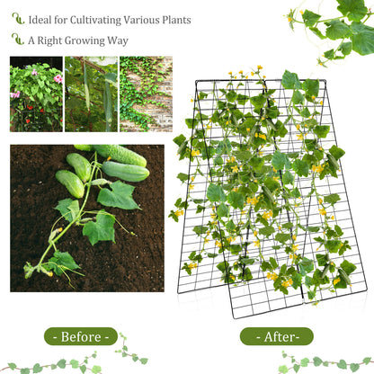 A-Frame Garden Trellis for Climbing Plant with Ground Stake and Cable Tie