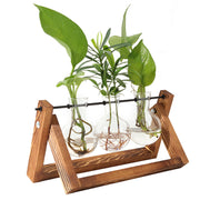 Glass Planter Bulb Plant Terrarium with Wooden Stand